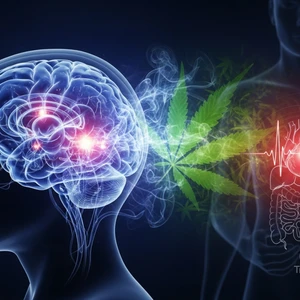 CBD vs THC - What's the Difference?