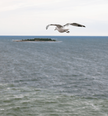 Erie Bird Observatory, Erie