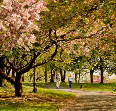 Branch Brook Park, Newark