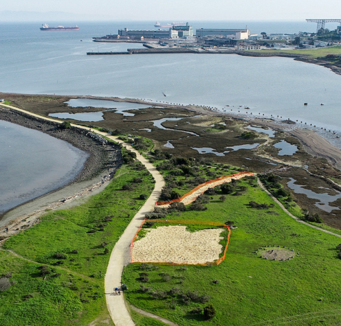 Heron’s Head Park, San Francisco