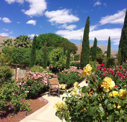 Municipal Rose Garden, San Jose
