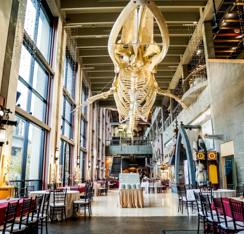 Grand Rapids Public Museum, Grand Rapids