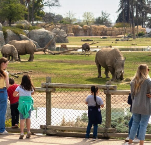 Fresno Chaffee Zoo, Fresno