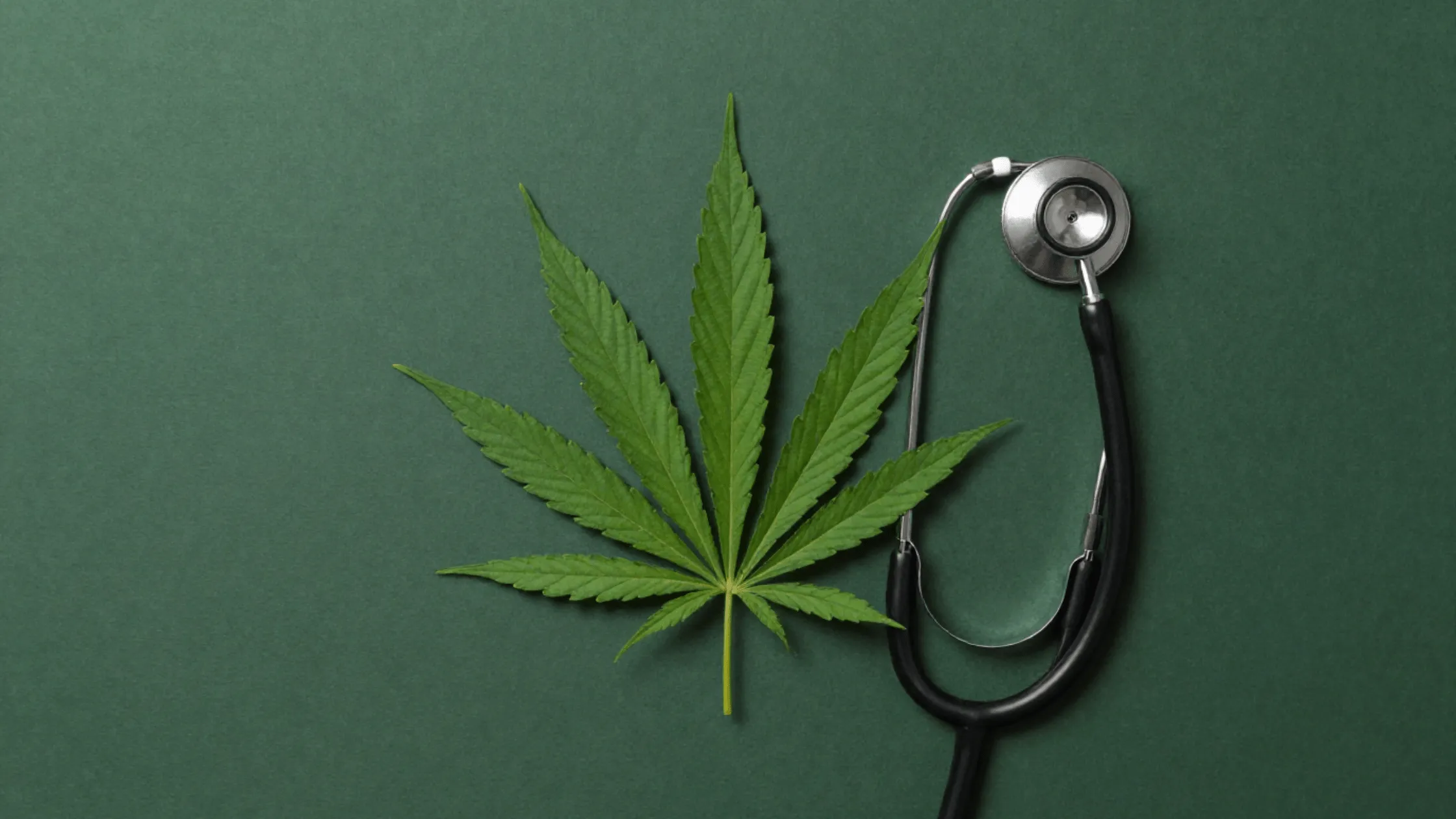 cannabis leaf and stethoscope representing medical marijuana qualifying conditions