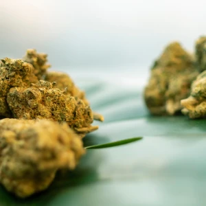 Medical Marijuana vs Recreational: Key Differences, Benefits, and Legal Facts