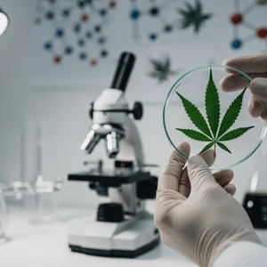 How Does Medical Cannabis Work? The Science Explained