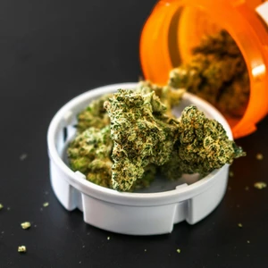 Online Medical Marijuana Card: Complete State-by-state Guide